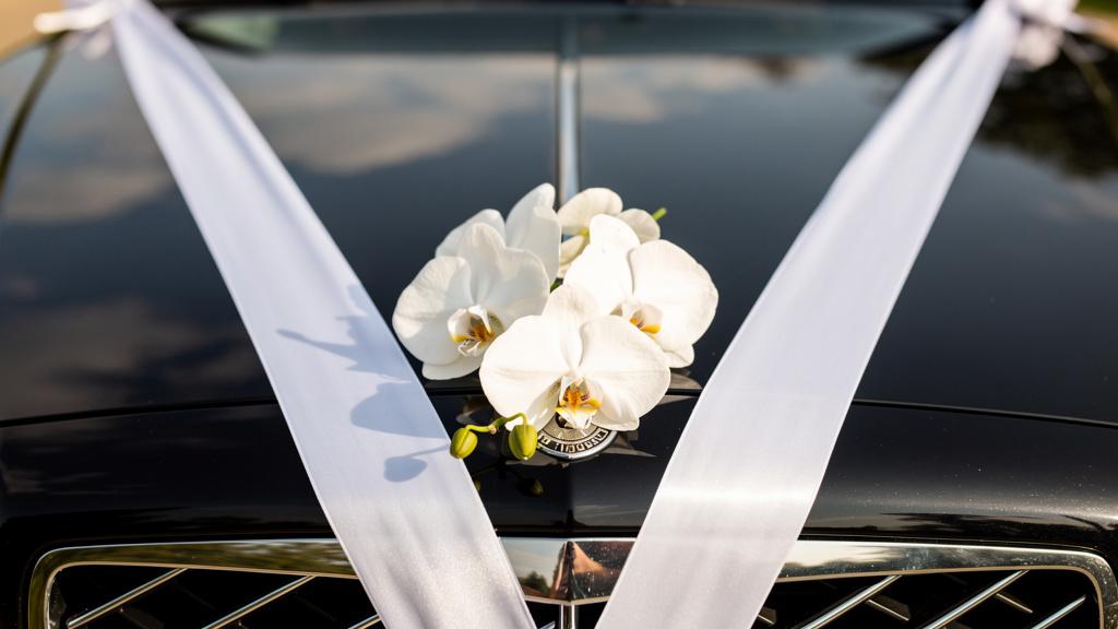 Wedding & Special Occasions — additional view