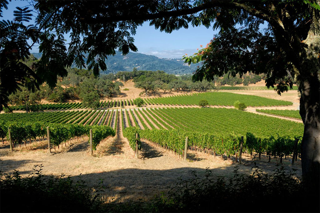 Blue Sky Limo Serving Napa