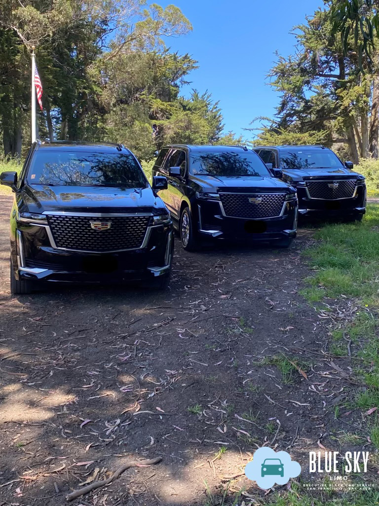 Blue Sky Limo Serving Alamo